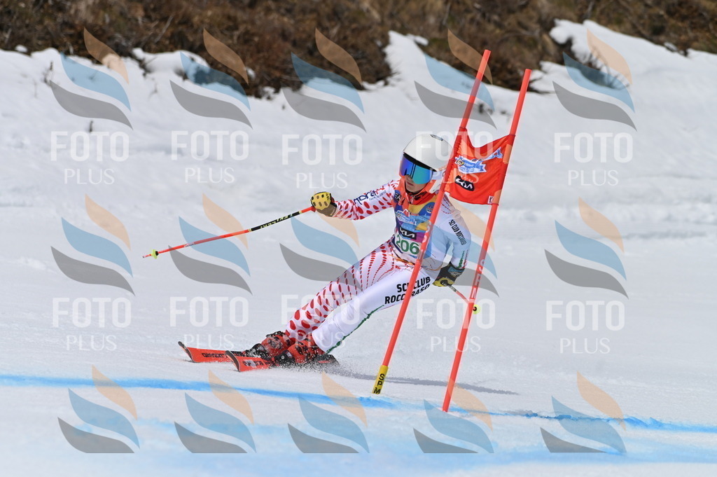 BGV_3984 | holidayphoto