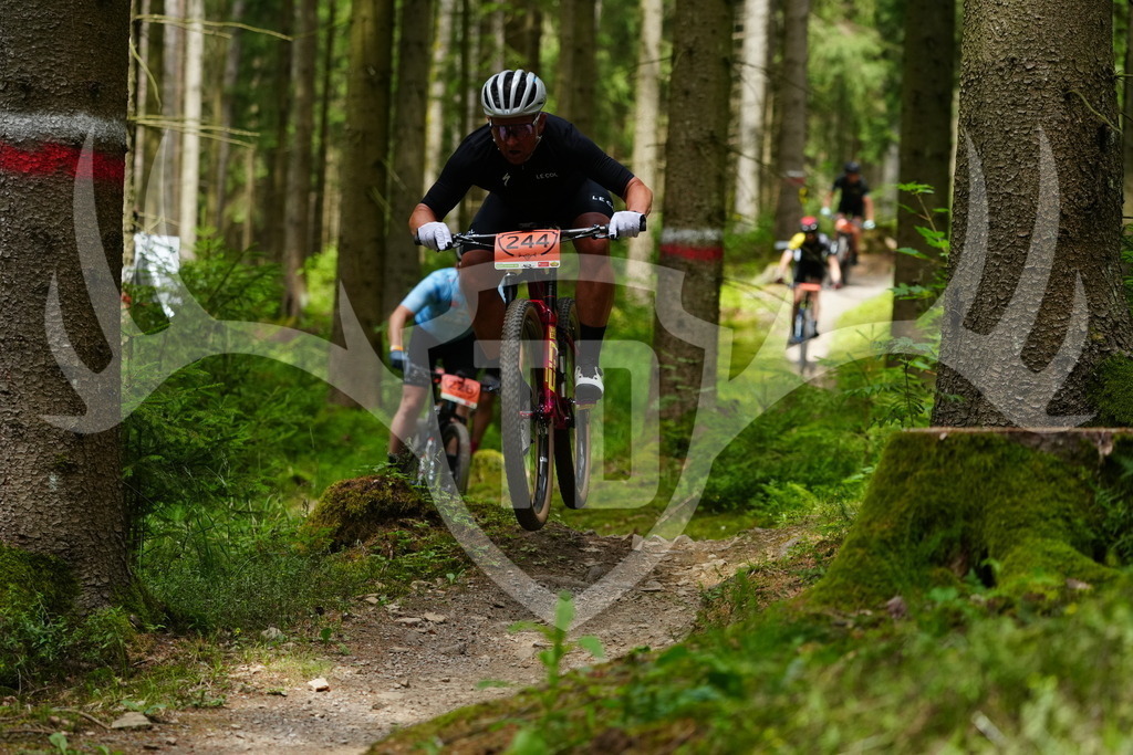 FC100366 | Fotogalerie der Treibjagd im Dunkelwald - Dein MTB Etappenrennen im Erzgebirge - Realisiert mit Pictrs.com