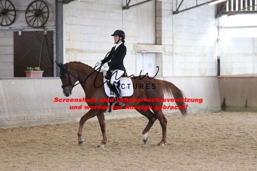 IMG_7448 | lmwpictures - Realisiert mit Pictrs.com