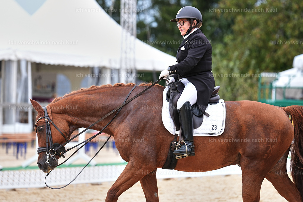 11-023-Dressur S___-Marixx-1693 | working equitationturnier fotograf videograf stoibphotography marixx film working equitation deutschland reitsport turnierfotografie eventfotografie equestrian events