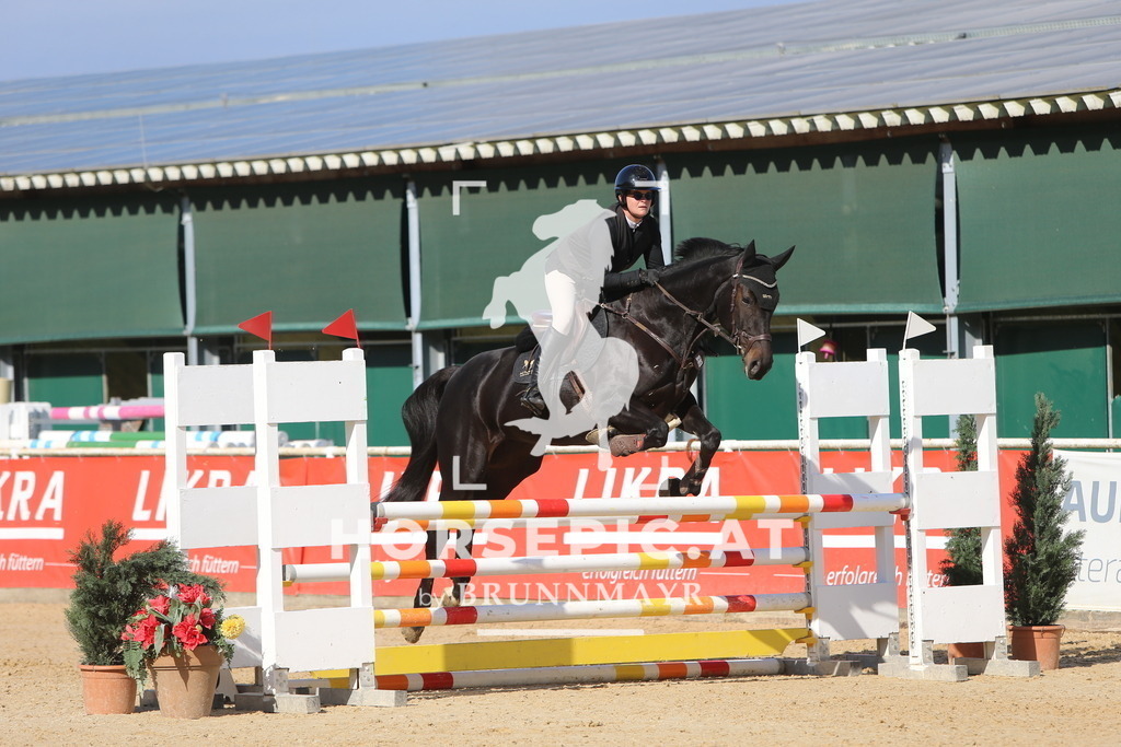 DL2Q5084 | Willkommen bei Brunnmayr - Design & Fotografie – Ihrem Spezialisten für Reitturniere und Pferdeveranstaltungen in Oberösterreich, Salzburg und Bayern! Seit über 17 Jahren sind wir leidenschaftlich dabei.