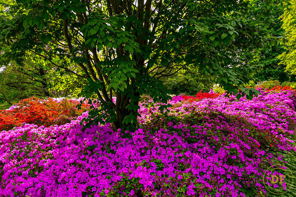 20_DSC8068 | Geschenke, Wandbilder und Accessoires mit Motiven aus Dresden und anderen schönen Orten zur Verschönerung Deines zu Hauses und zum verschenken gewünscht? Wähle Deine Lieblingsbild auf dem Produkt Deiner Wahl. 