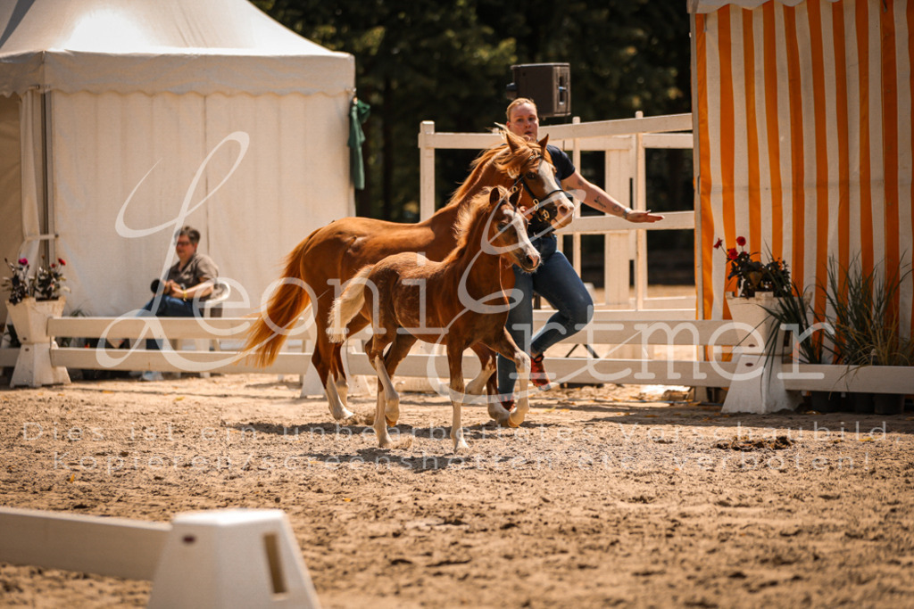 04.DoWP00012 | Leoni Ertmer Photography - Realisiert mit Pictrs.com