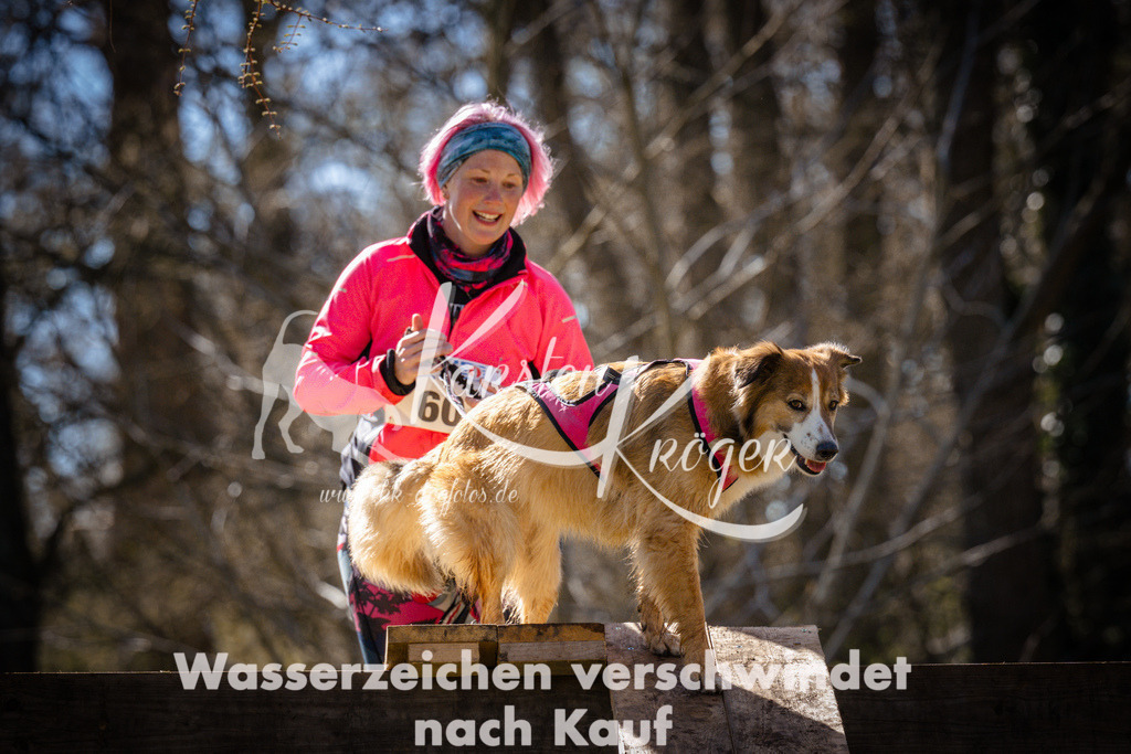 0952_ZZ96735 | kk-dogfotos