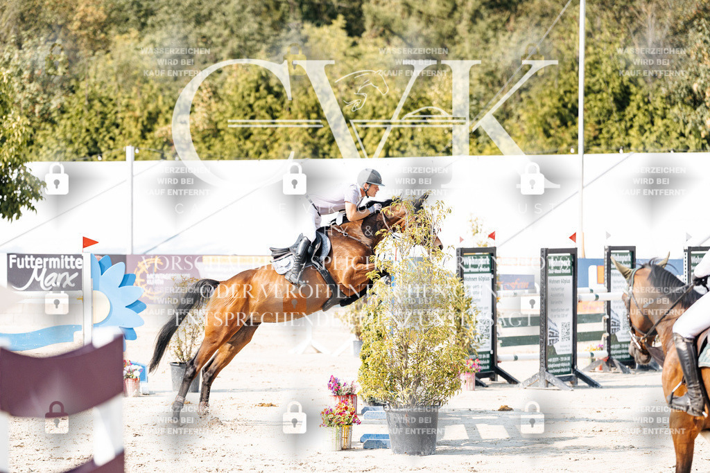 CK902483 | Turnierfotografie Pferdefotografie Trier Rheinland-Pfalz Pferdesport Reitsport Tierfotografie Sportfotografie Pferdevideo Pferdevideografie Equestrianvideography equestrianphotography  - Realisiert mit Pictrs.com