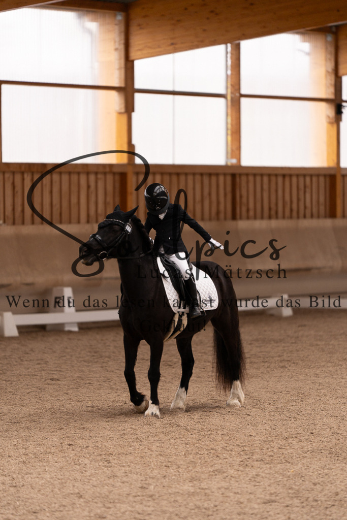 A7507016 | Turnier/Reitfotograf
