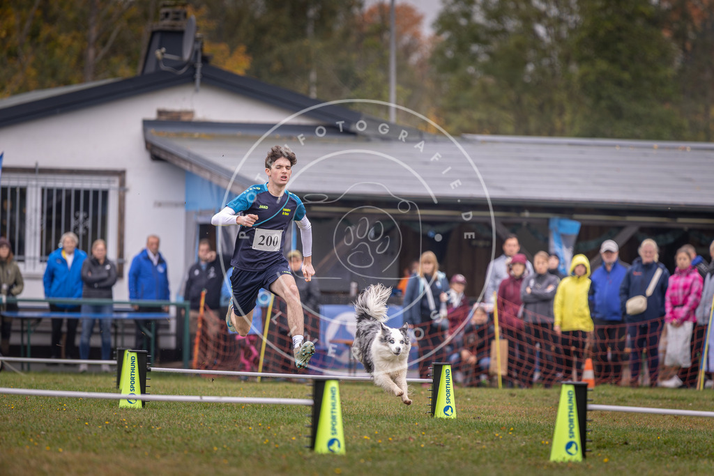 Pfotenfotografie_DV3A0830 | Hundefotografie, Tierfotograf, Pfotenfotografie, Fotoshooting Hund, Hunde Portrait, Hundesport, Hundeportraits, Heideshooting, Hunde, Sportfotograf, Hundefotograf, Turnierhundsport, THS,  - Realisiert mit Pictrs.com