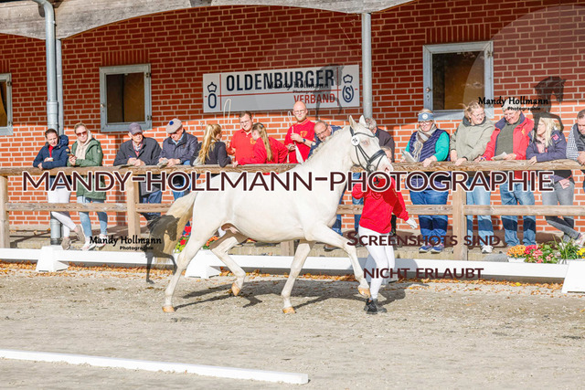 DR (1217 von 1791) | mandyhollmannphotographie