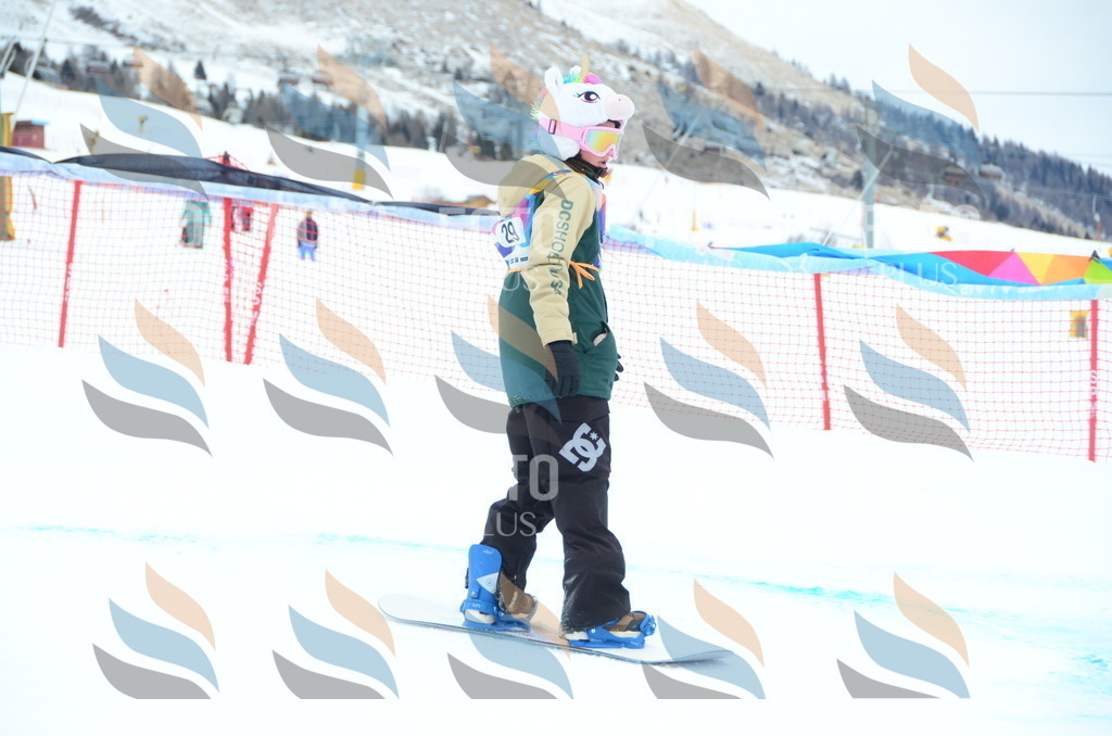 DSC_2322 | holidayphoto