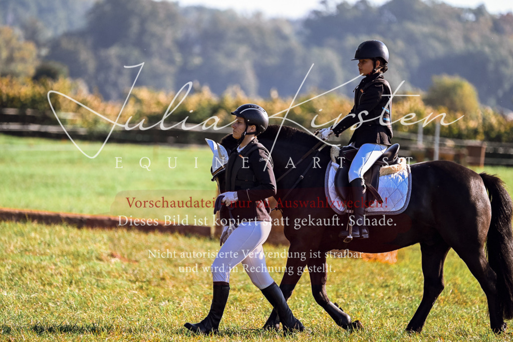DSC_0384 | Pferde- und Turnierfotografie in Westsachsen. Pferdeportraits, Auftragszeichnungen und intuitive Kunst.
