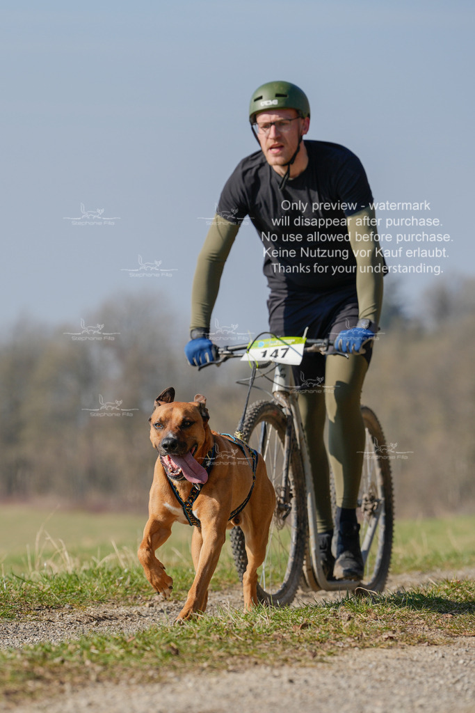 Scooter_Lang-41 | stephaniefillaphotographie - Realisiert mit Pictrs.com