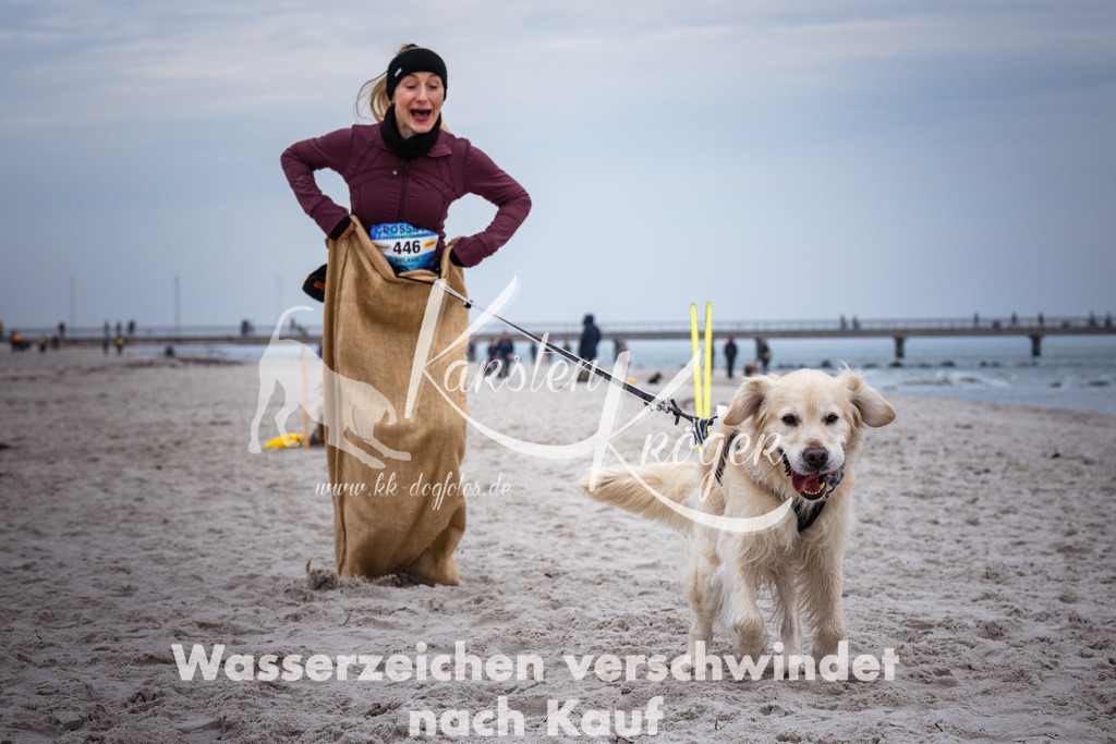 1227_ZZ94252 | kk-dogfotos