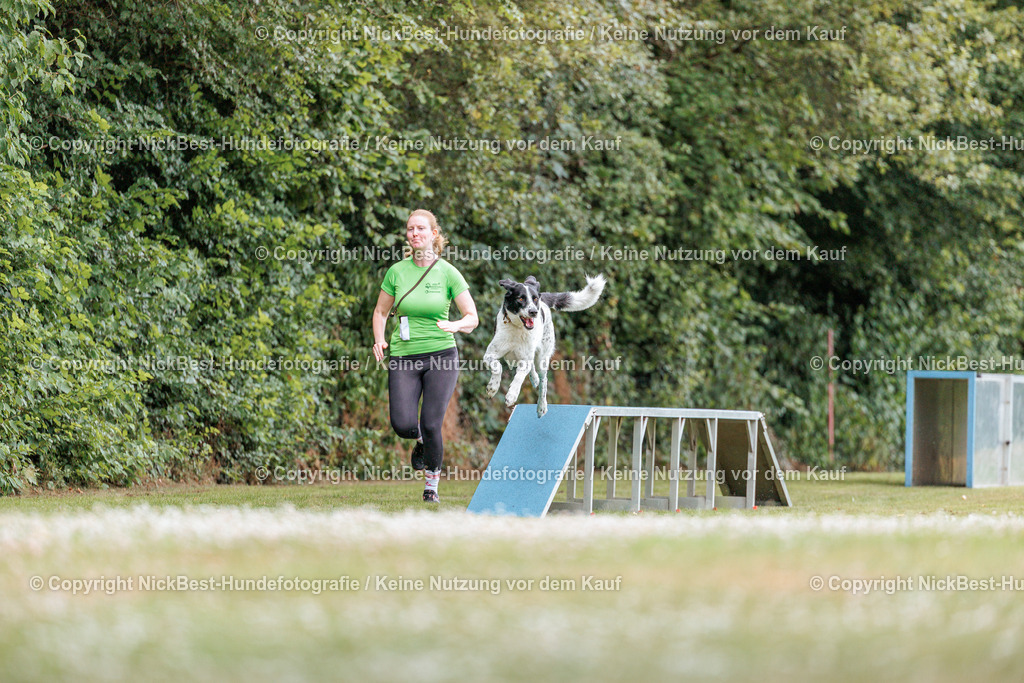 THS-Quakenbrück-2026-Nickbest-Hundefotografie-4513 | Dein Hund! Dein Moment! Deine Erinnerungen! Hundefotografie in Bremen Blumenthal. Ich fange die besonderen Momente deines Vierbeiners ein – ob Indoor mit Blitzanlage oder in der freien Natur. Sicher dir dein Moment und dein Termin für eure Erinnerungen.