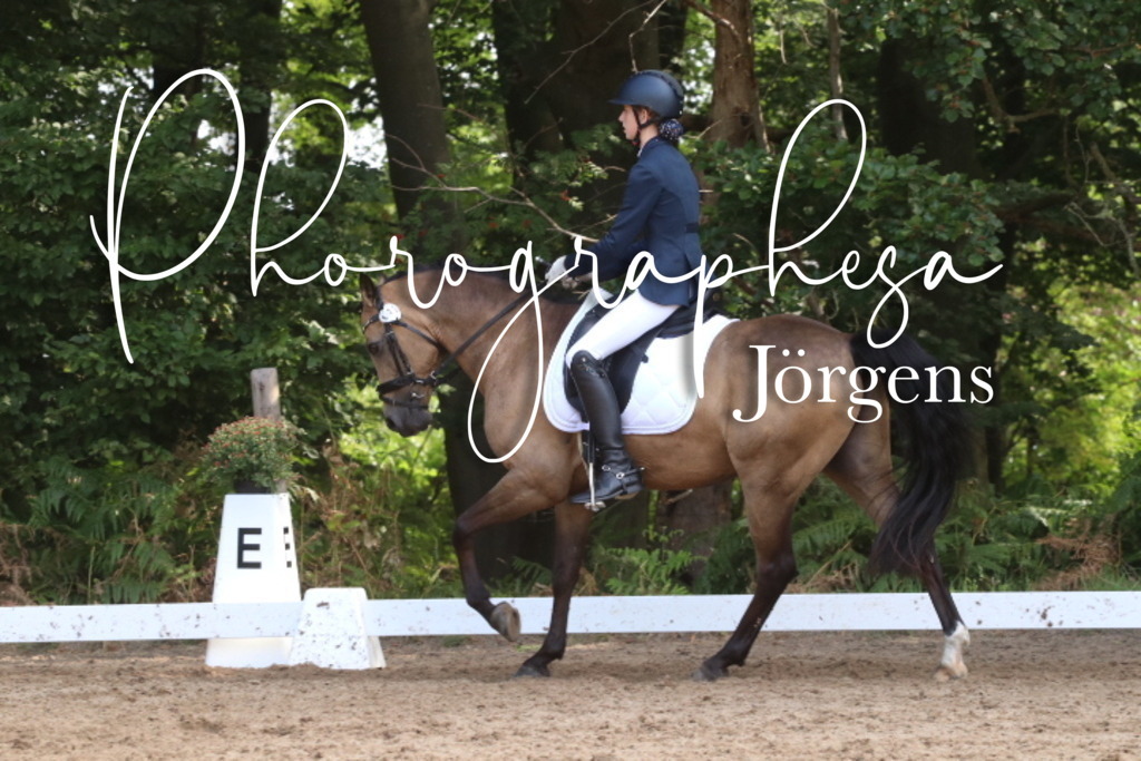 IMG_0501 | photographesa-joergens - Realisiert mit Pictrs.com