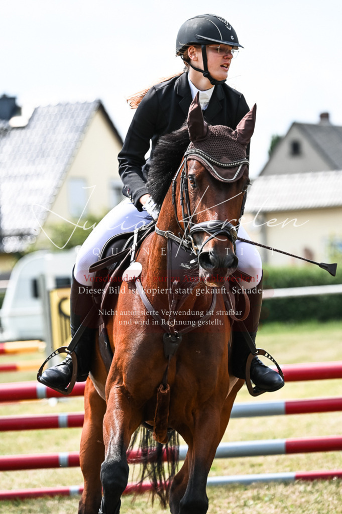DSC_9042 | Pferde- und Turnierfotografie in Westsachsen. Pferdeportraits, Auftragszeichnungen und intuitive Kunst.