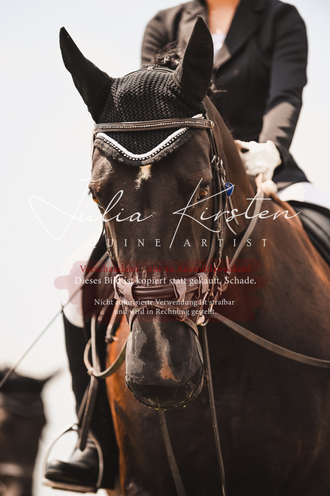 DSC_6262 | Pferde- und Turnierfotografie in Westsachsen. Pferdeportraits, Auftragszeichnungen und intuitive Kunst.