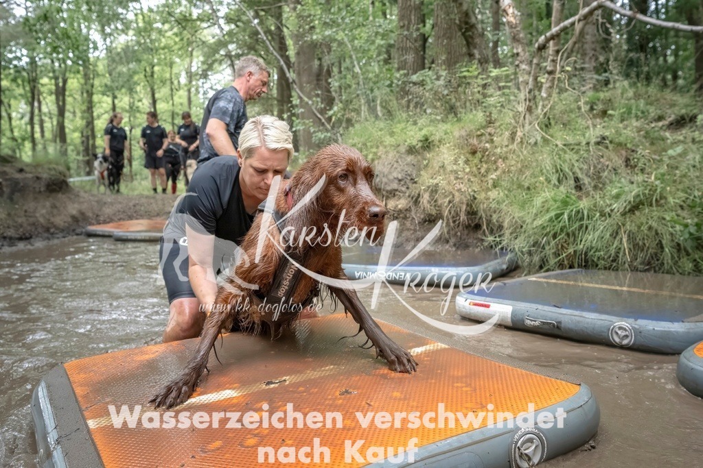 1209_ZZ97392T | kk-dogfotos
