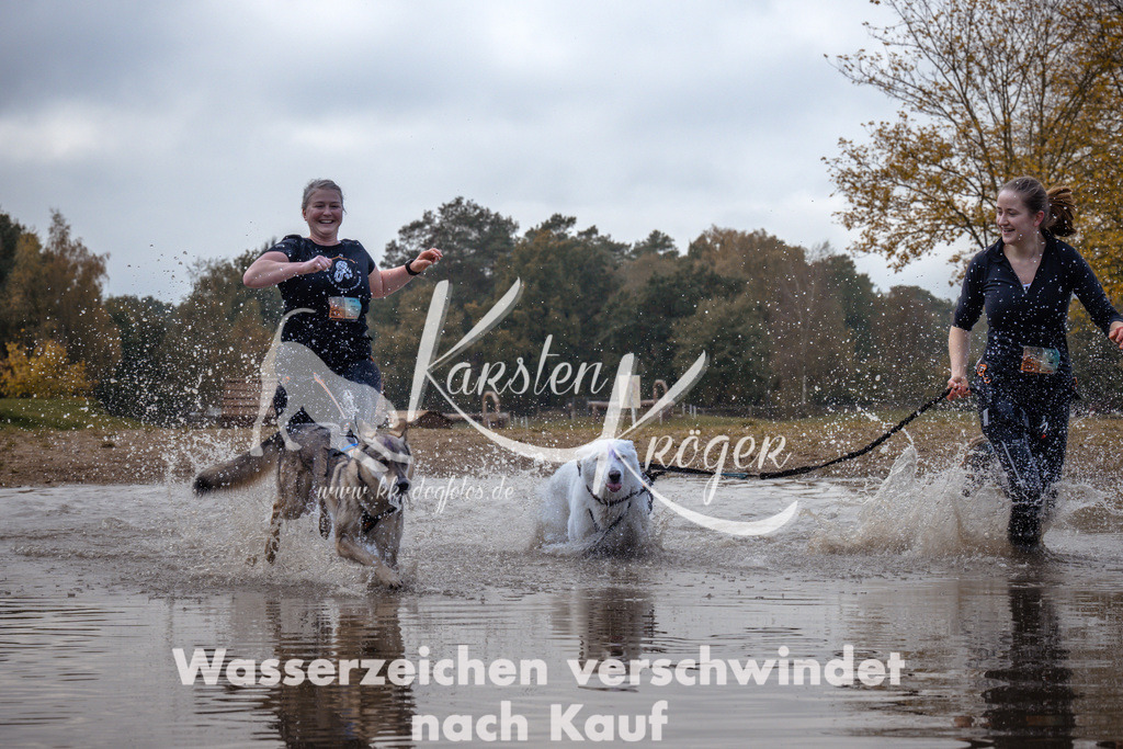 1340_ZZ94533 | kk-dogfotos