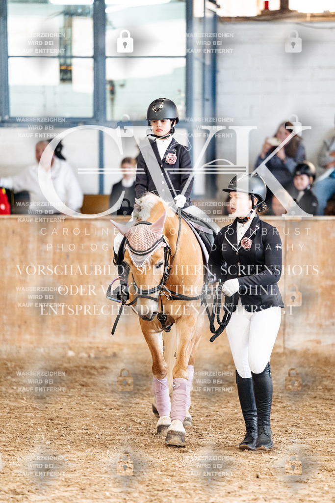 CK905771 | Turnierfotografie Pferdefotografie Trier Rheinland-Pfalz Pferdesport Reitsport Tierfotografie Sportfotografie Pferdevideo Pferdevideografie Equestrianvideography equestrianphotography  - Realized with Pictrs.com