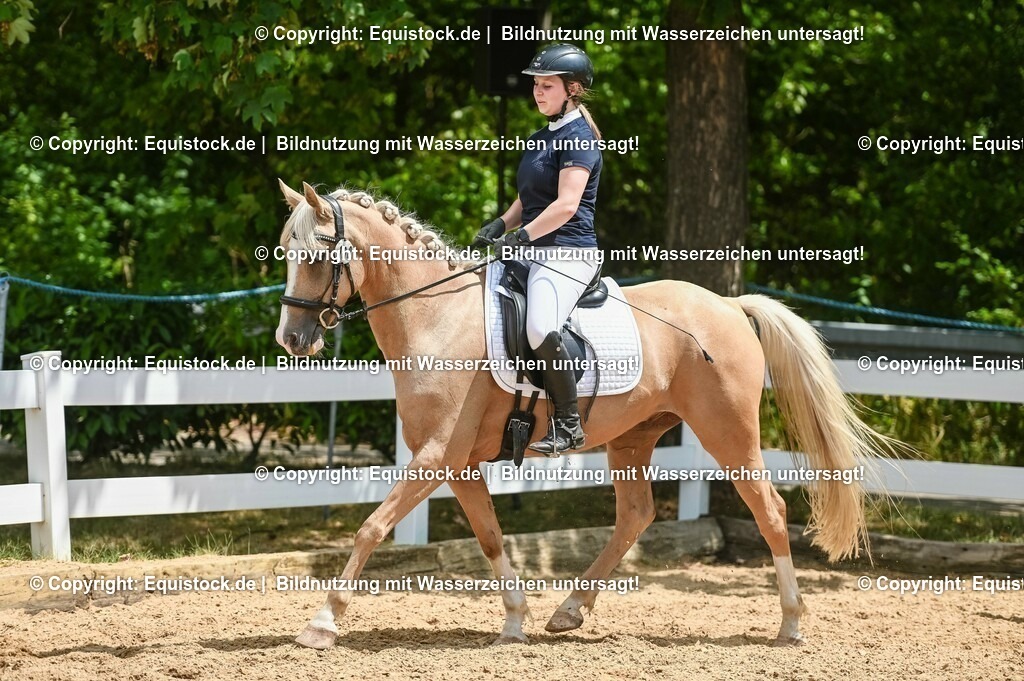 20230715_09_Dressur-WB_0523 | equistock