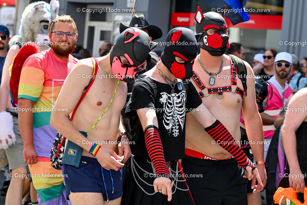 Linzpride 2025_ 21.06.2025-143 | 21.06.2025, Linz, AUT, Linzpride 2025, im Bild Teilnehmer an der Linz Pride 2025
