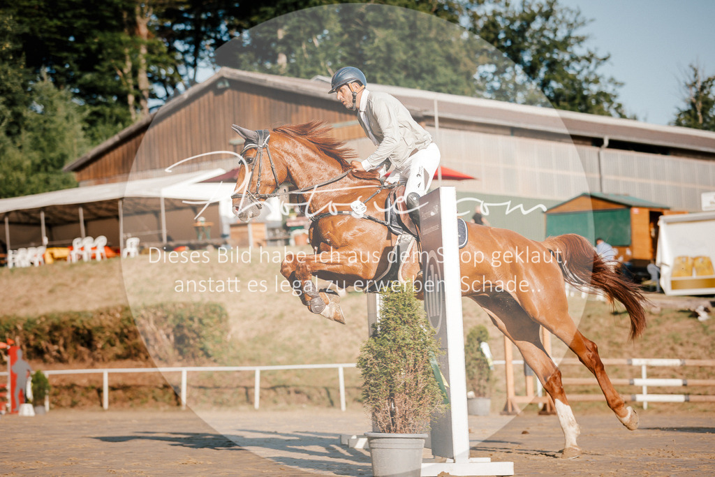 3I6A6084 | Stimmungsvolle Portraits und Reitsportfotografie im Ruhrgebiet und im Münsterland.

Pferdefotografie, Hundefotografie, Tierfotografie, Reportagen, Portraits von Tier und Mensch, Turnierfotografie in Bochum, Recklinghausen, Marl, Haltern am See, Dülmen.. - Realisiert mit Pictrs.com