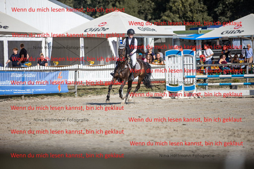 BK1A7365 | Turnierbilder Turnierfotos Nina Hüffmann Turnierfotografie Pferdefotografie Tierzeichnung Haustierzeichnung Pferdezeichnung Hundezeichnung Videograf  - Realisiert mit Pictrs.com