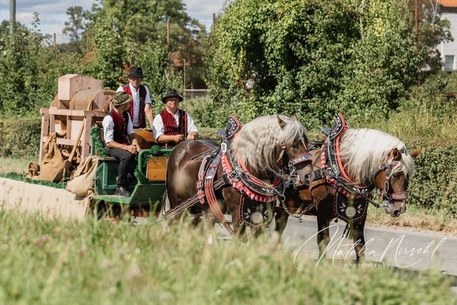 7V6A1830 | natalia-nirschl-photography