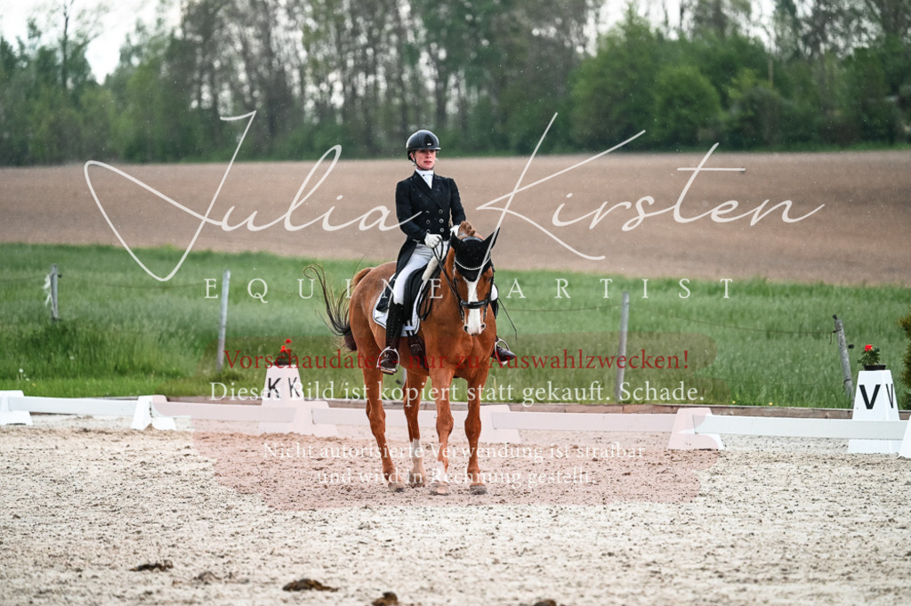 20230514_JK-Röhrsdorf-21-668 | Pferde- und Turnierfotografie in Westsachsen. Pferdeportraits, Auftragszeichnungen und intuitive Kunst.