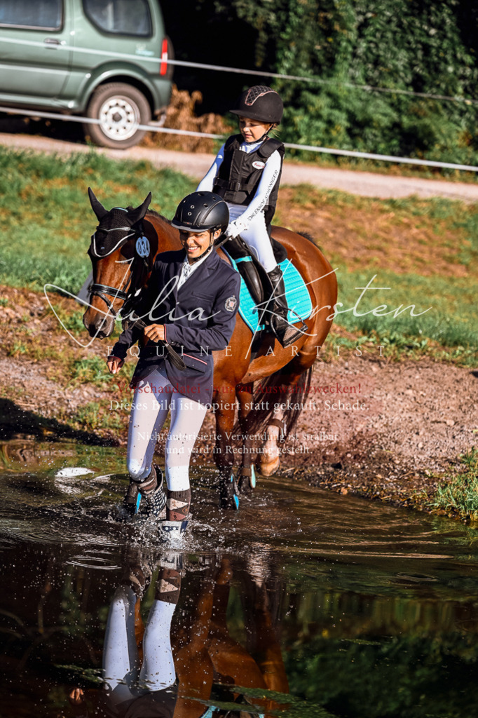 DSC_0293 | Pferde- und Turnierfotografie in Westsachsen. Pferdeportraits, Auftragszeichnungen und intuitive Kunst.