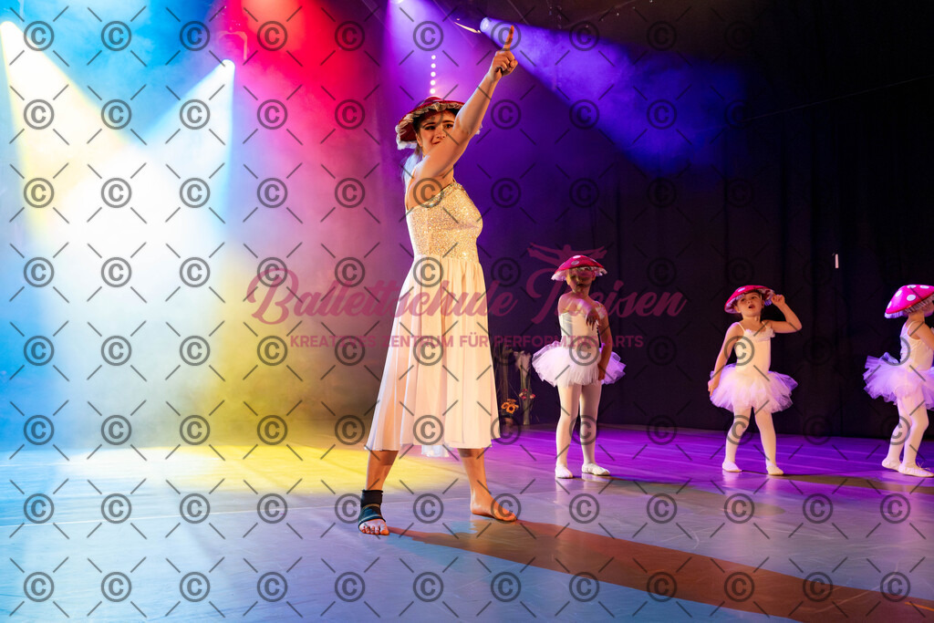 Ballettaufführung-47 | Bildershop Lem'n Entertainment - Realisiert mit Pictrs.com