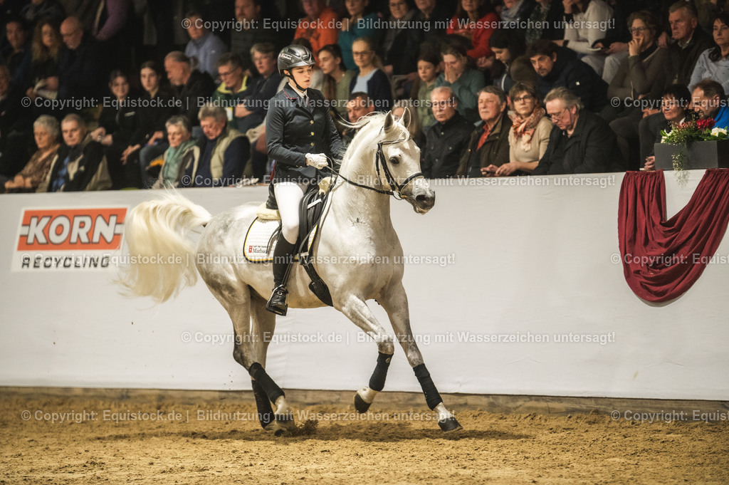 20240302_Hengstvorstellung_Marbach_TOMsPiC_1010-2 | equistock