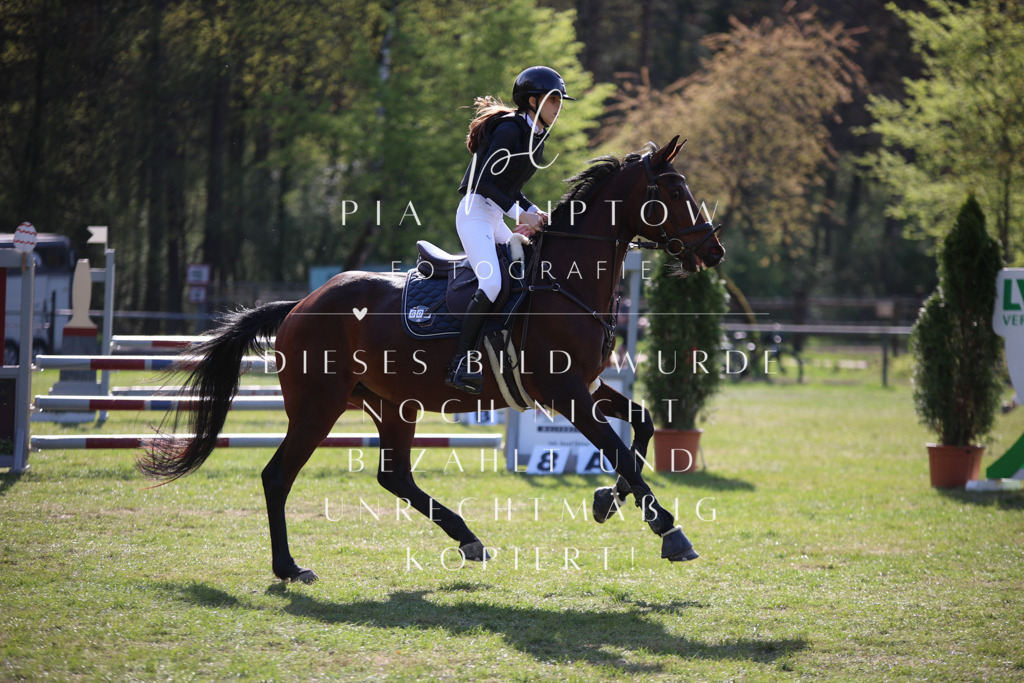 IMGT9308 | pl-fotografie