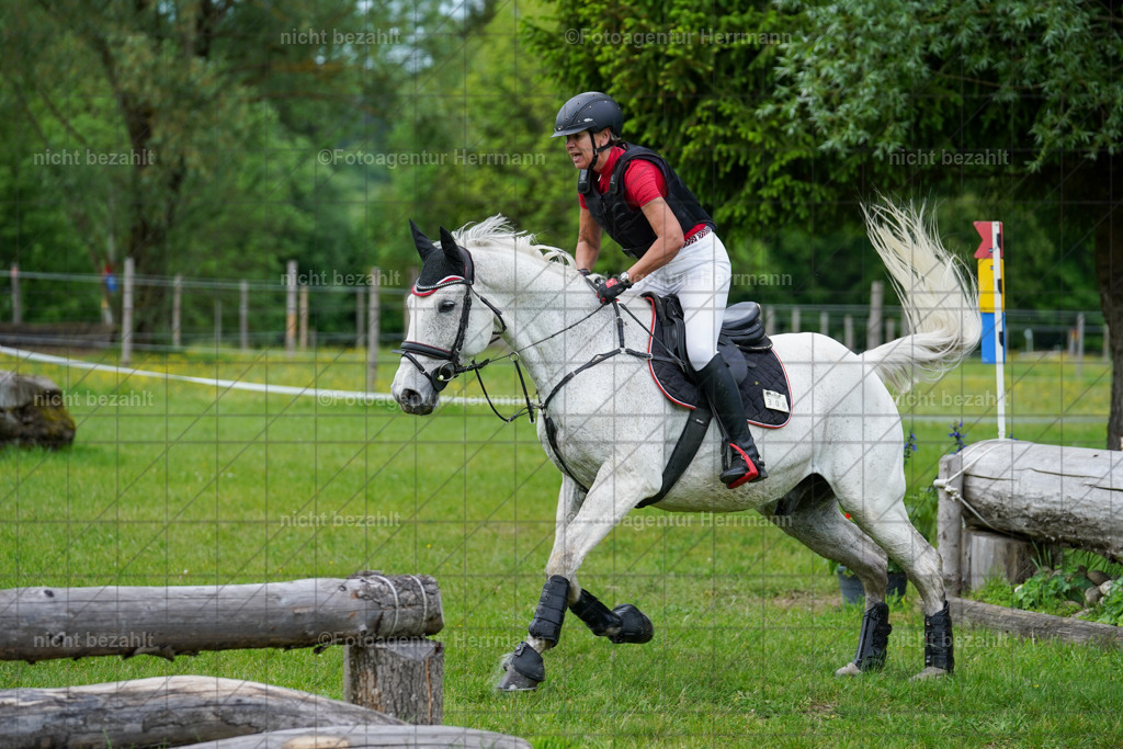 20240518-FAH03896 | Turnierbilder von Niederseon, Turnierfotografen Bayern, Fotoagentur Herrmann, Geländebilder, Reitsportfotografie
