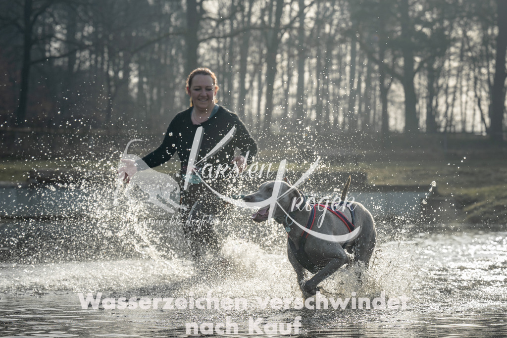 0901_ZZ99549 | kk-dogfotos
