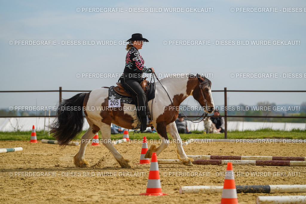 DSC02117 | Pferdegrafie