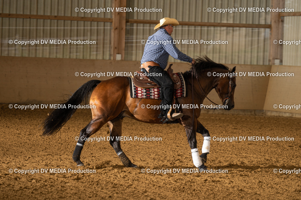 LAU01010 | dv-media-shop - Realisiert mit Pictrs.com