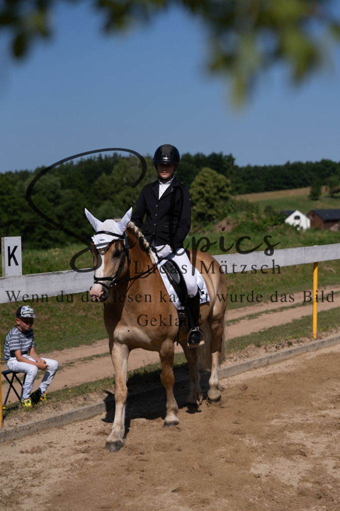 A7V07724 | Pferdefotograf