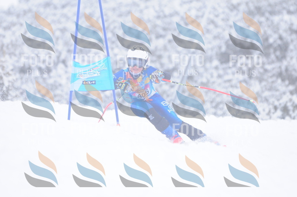 C4255 | holidayphoto