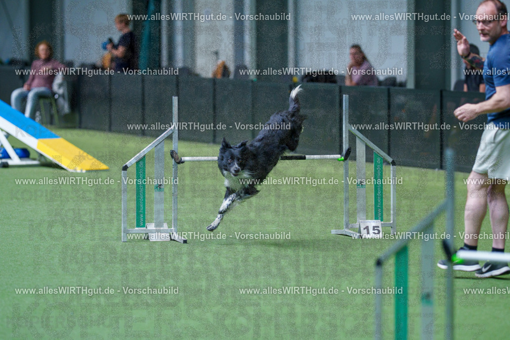 @allesWIRTHgut_Tierfotografie - www.allesWIRTHgut.de - 2604261520-7R505229 | Professionelle Tierfotografie in Mönchengladbach von Daniel Wirth (allesWIRTHgut). Liebevolle & natürliche Bilder von Hunden & Katzen für unvergessliche Erinnerungen.