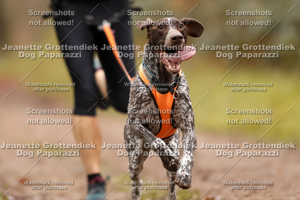 Dog Paparazzi - Speedhunter Mannheim  2025-105 | Dog Paparazzi Jeanette Grottendiek Fotografie & Videografie
