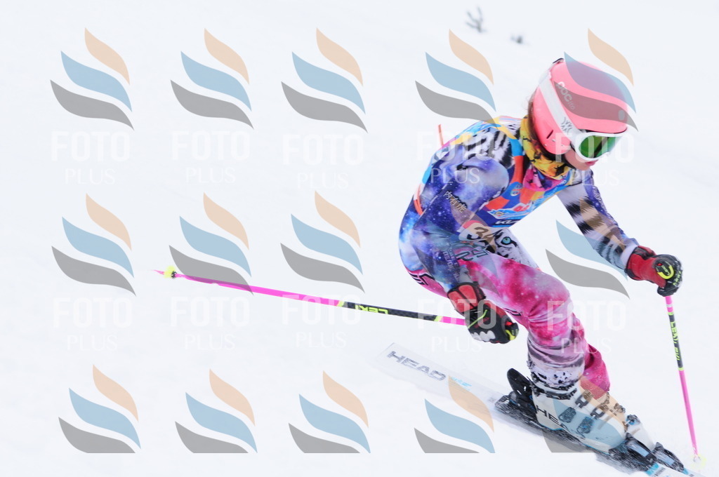 C3671 | holidayphoto