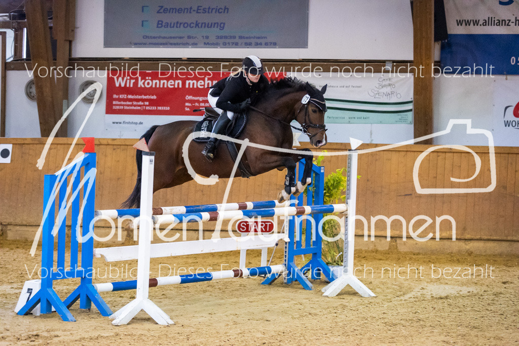 Sth-A-Spr.m.st.A.-038 | MomenTaufnahmen Pferdesportfotos