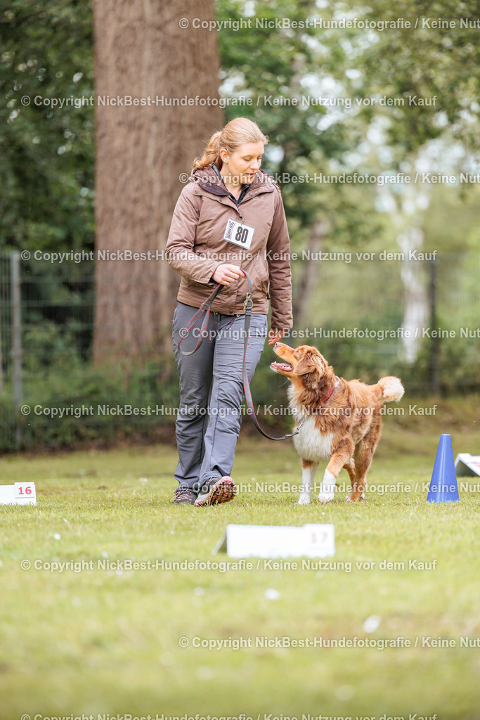 RO-Blumenthal-2026-Nickbest-Hundefotografie-3391 | Dein Hund! Dein Moment! Deine Erinnerungen! Hundefotografie in Bremen Blumenthal. Ich fange die besonderen Momente deines Vierbeiners ein – ob Indoor mit Blitzanlage oder in der freien Natur. Sicher dir dein Moment und dein Termin für eure Erinnerungen.