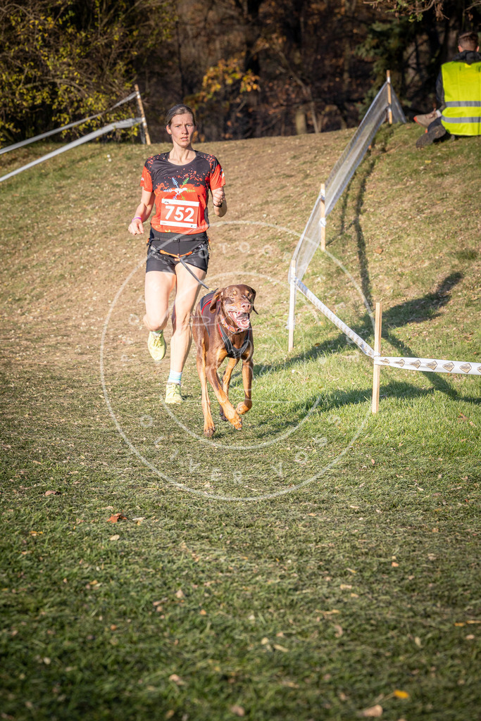 CaniXpix_0L8A9900 | Hundefotografie, Tierfotograf, Pfotenfotografie, Fotoshooting Hund, Hunde Portrait, Hundesport, Hundeportraits, Heideshooting, Hunde, Sportfotograf, Hundefotograf, Turnierhundsport, THS,  - Realisiert mit Pictrs.com