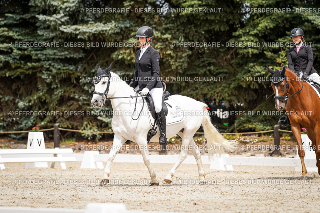 DSC03769 | Pferdegrafie