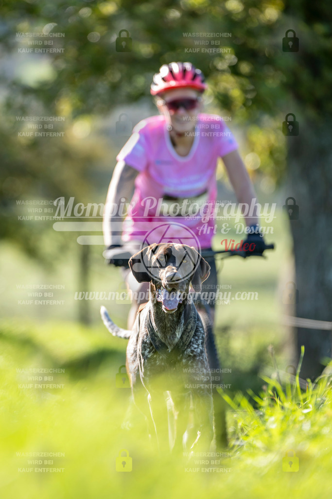 MompixPhotography_20TSB_E3_DS1-18 | PayLife
