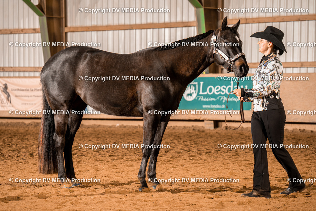 BAL01387 | dv-media-shop - Realisiert mit Pictrs.com