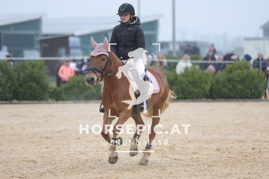 0P6A8261 | Willkommen bei Brunnmayr - Design & Fotografie – Ihrem Spezialisten für Reitturniere und Pferdeveranstaltungen in Oberösterreich, Salzburg und Bayern! Seit über 17 Jahren sind wir leidenschaftlich dabei.