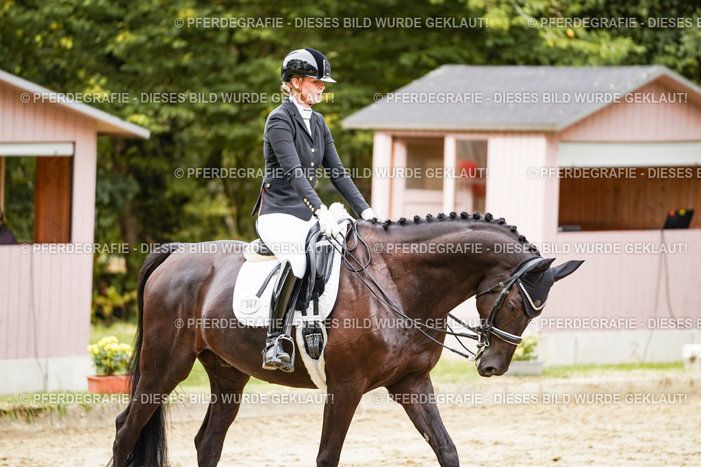 DSC02418 | Pferdegrafie